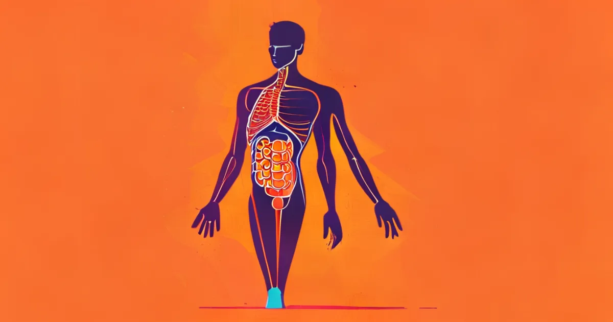 Visual representation of gluten intolerance symptoms