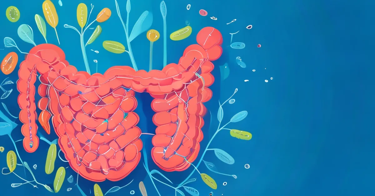 Intestinal Permeability Test and Gut Barrier Function