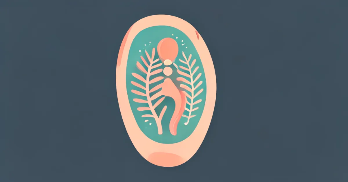 Menstrual disc positioning basics illustration