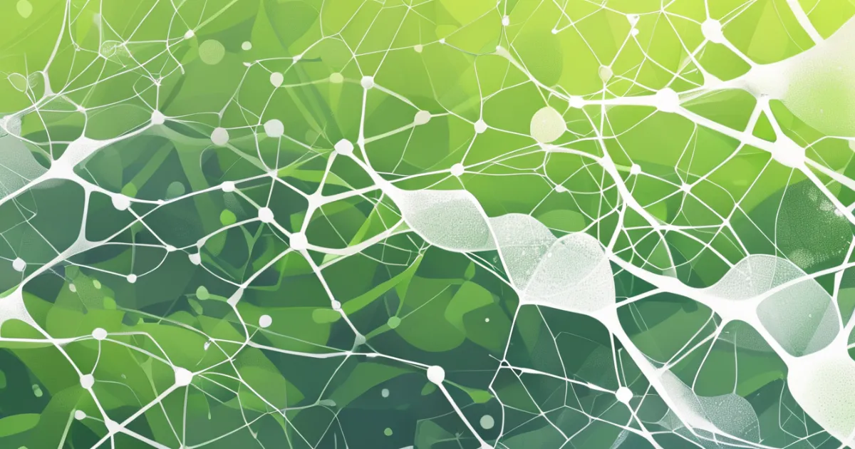 Biocellulose fiber network structure
